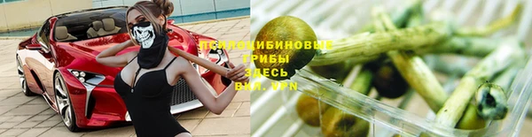 винт Дмитров