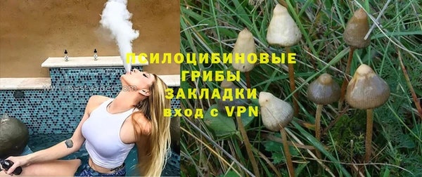 винт Дмитров