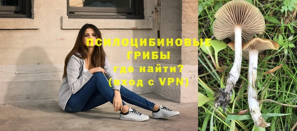 не бодяженный Магас
