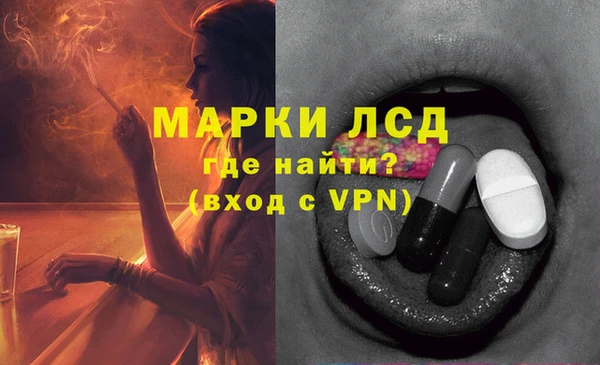 стаф Дмитровск