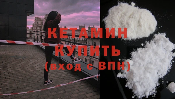 стаф Дмитровск