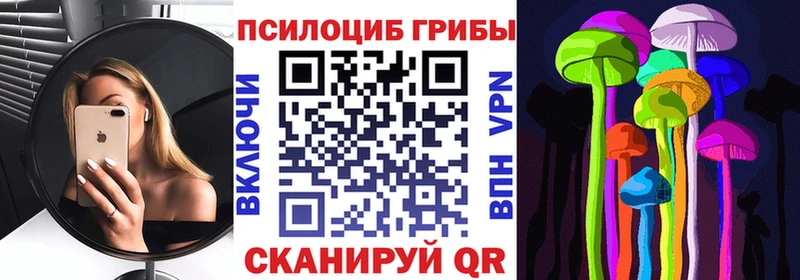 мориарти как зайти  Красный Кут  Псилоцибиновые грибы мицелий  как найти закладки  omg ссылка 