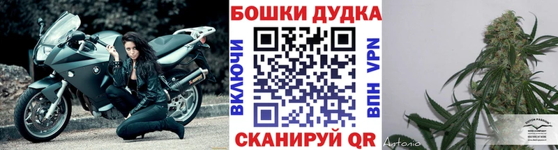 купить закладку  Красный Кут  Бошки марихуана MAZAR 